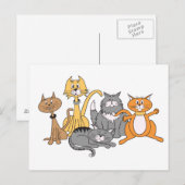 Katten! Briefkaart (Voorkant / Achterkant)