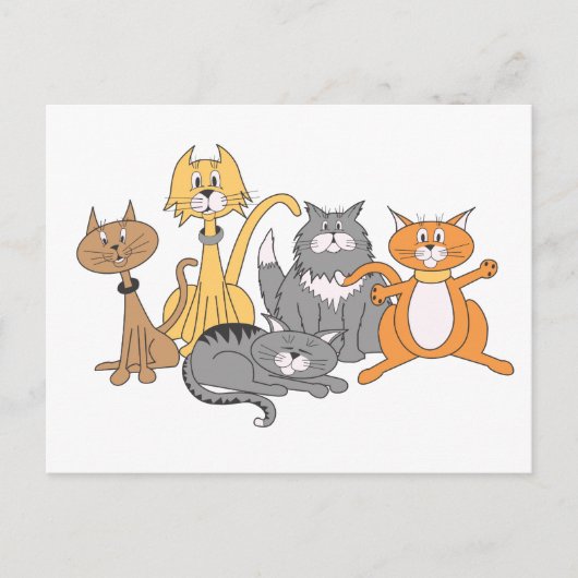 Katten! Briefkaart (Voorkant)