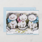  katten briefkaart (Voorkant / Achterkant)