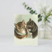  katten briefkaart (Staand voorkant)