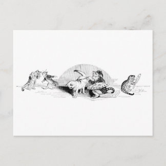 katten briefkaart