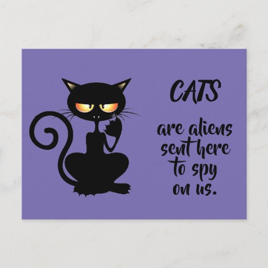 katten briefkaart (Voorkant)