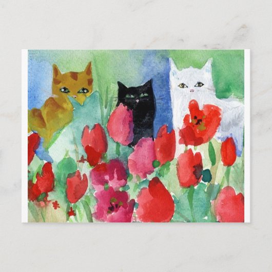  Katten Briefkaart (Voorkant)