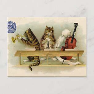  katten briefkaart