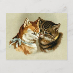  katten briefkaart