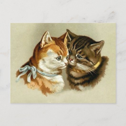 katten briefkaart (Voorkant)