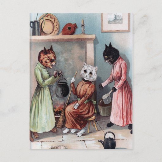 katten briefkaart (Voorkant)