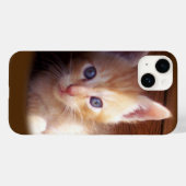 Katten Case-Mate iPhone Case (Achterkant (horizontaal))
