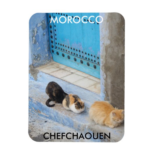 Katten, Chefchaouen, Marokko Magneet (Verticaal)