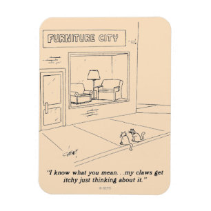 Katten Claeys Meubilair Magneet