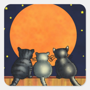 Katten die de motorstickers bekijken vierkante sticker