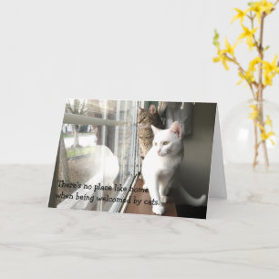 Katten die door het Venster worden gezeten Kaart