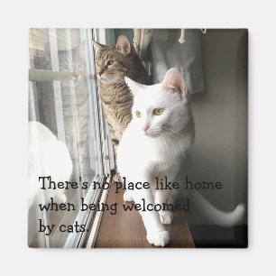 Katten die door het Venster worden gezeten Magneet