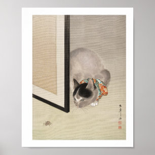 Katten die een spin (1888–1892) illustratie bekijk poster