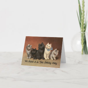 Katten die het zwaarst wonderend Wenskaart op de g Kaart