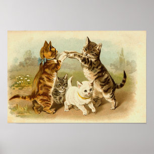 Katten die illustratie spelen poster