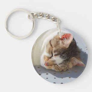 Katten die in een tuin slapen sleutelhanger