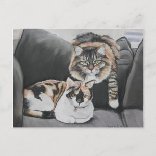 Katten die kunstmatig Briefkaart uitkleden