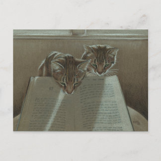 Katten die me helpen boeken te lezen briefkaart