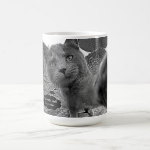 Katten die Mok met koorts gebruiken