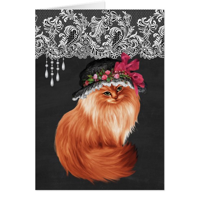 Katten die Petten dragen (Voorkant)