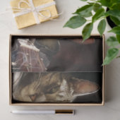 Katten die poker spelen tissuepapier (Geschenk)