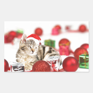 Katten die rode kerstman hoed dragen Kerst Ornamen Rechthoekige Sticker