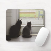 Katten die uit de deur van het scherm kijken muismat (Met muis)
