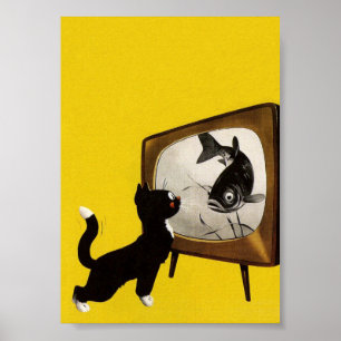 Katten die vissen zien  Poster van schimmels