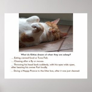 Katten dromen van Poster of druk