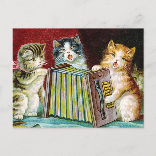 "Katten en een Squeezebox" Briefkaart (Voorkant)