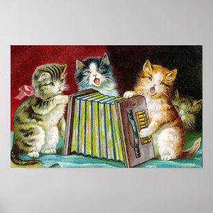 "Katten en een vierkante doos" Poster
