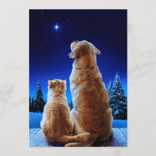 Katten- en hondenkerstmiswonder kaart