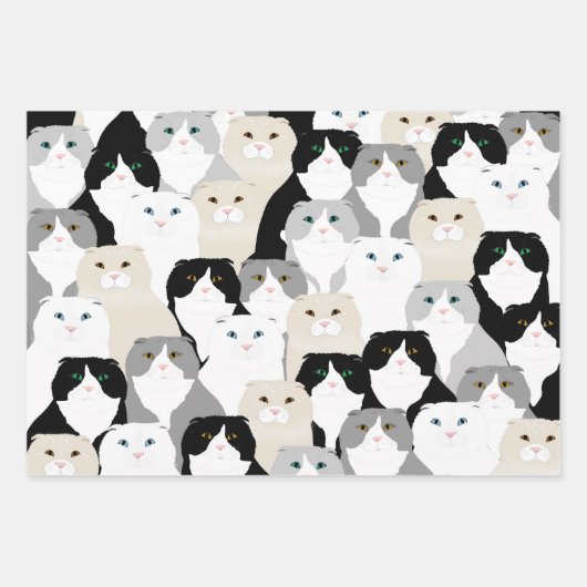 Katten en Katten Verpakkingsdocument Bladen Inpakpapier Vel (Voorkant 2)