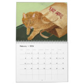 Katten en Kittens Kalender (Feb 2026)