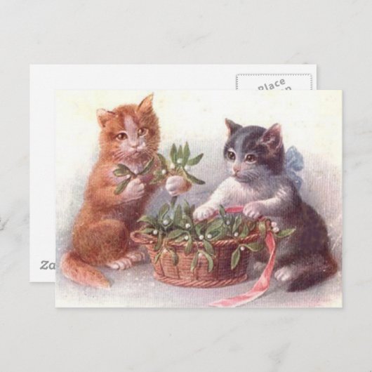 Katten en mistletoe briefkaart (Voorkant / Achterkant)
