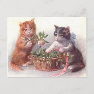 Katten en mistletoe briefkaart