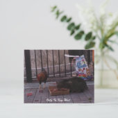 katten- en roosterBriefkaart "Alleen in het sleute Briefkaart (Staand voorkant)