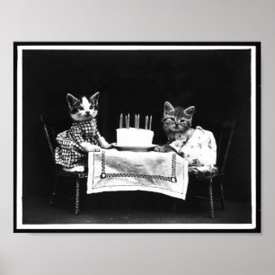 Katten en verjaardagstaart Antiek foto Poster