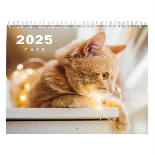 Katten foto moderne 2025 kalender (Hoes)