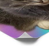 Katten Foto-Poster Poster (Hoek)