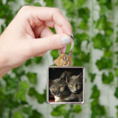 Katten foto sleutelhanger (Hand)