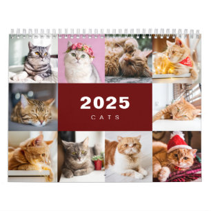 Katten Fotocollage Moderne 2025 Kalender
