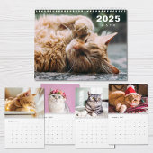Katten Fotocollage Moderne 2025 Kalender
