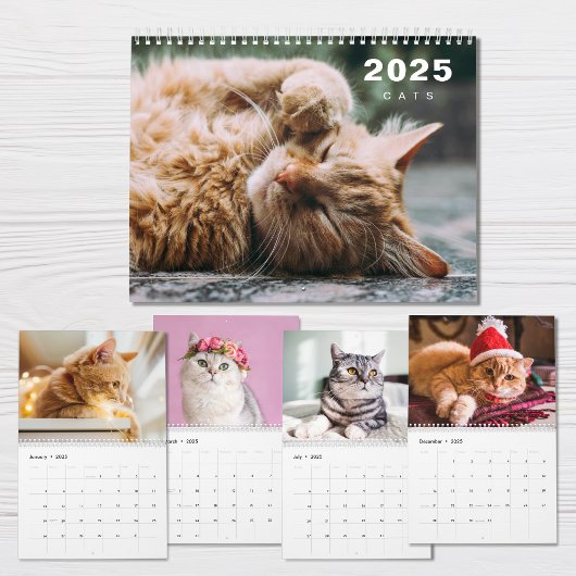 Katten Fotocollage Moderne 2025 Kalender