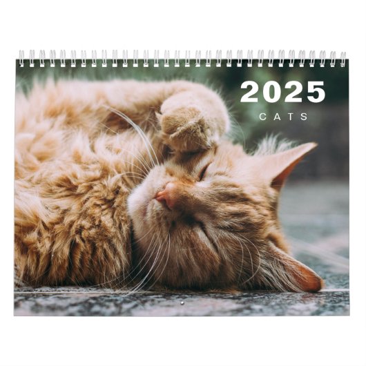 Katten Fotocollage Moderne 2025 Kalender (Hoes)