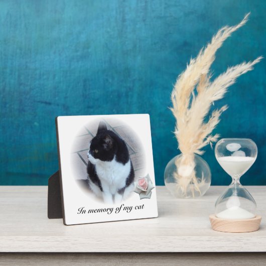 Katten Fotoplaat (Insitu)