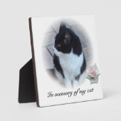 Katten Fotoplaat (Voorkant)