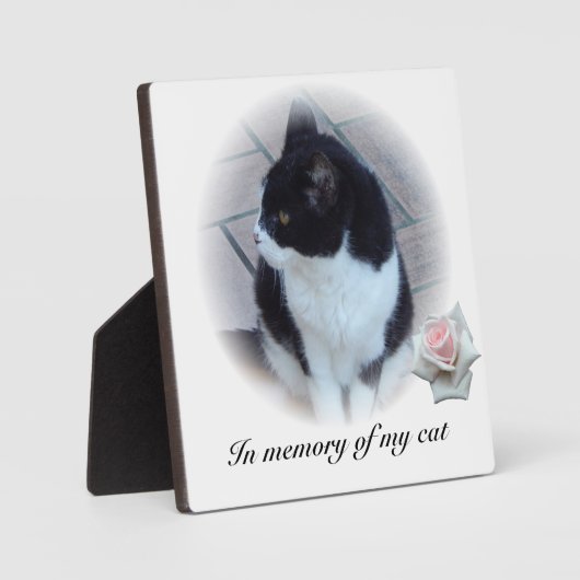 Katten Fotoplaat (Voorkant)