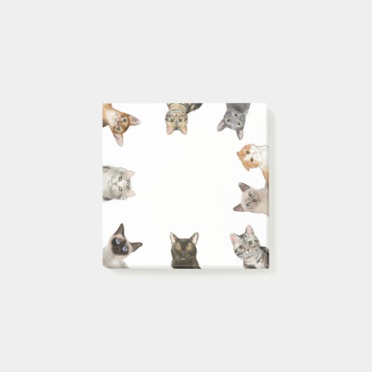 Katten | Funny Cat Lover Post-it® Notes (Voorkant)